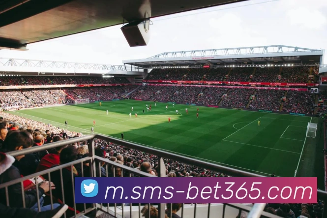 辅助工具 辅助工具